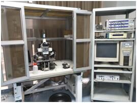 英国上市公司365