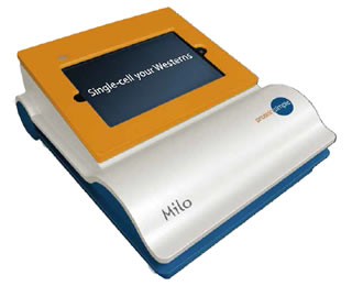 英国上市公司365