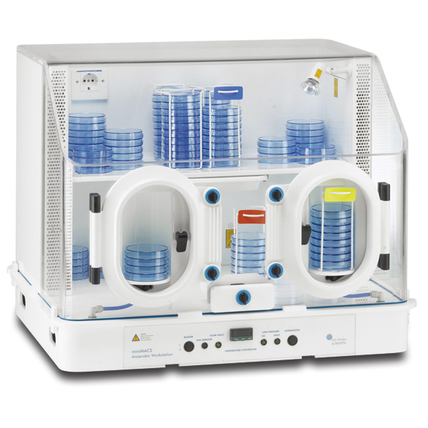 英国上市公司365