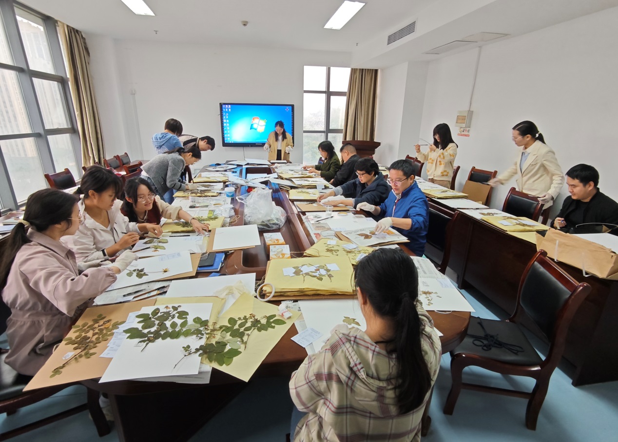 英国上市公司365