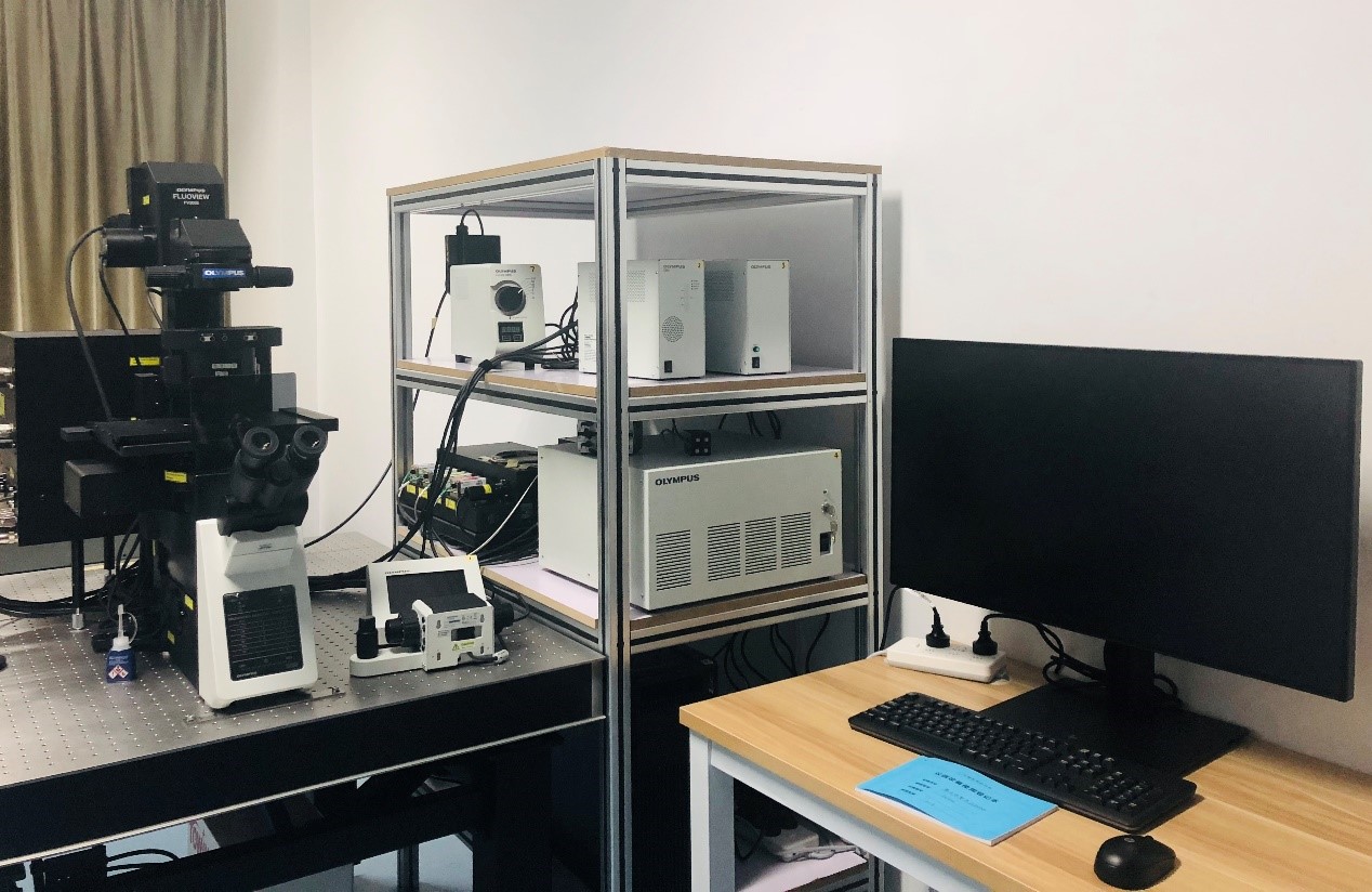 英国上市公司365