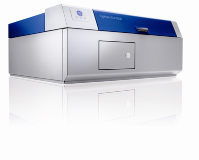 英国上市公司365