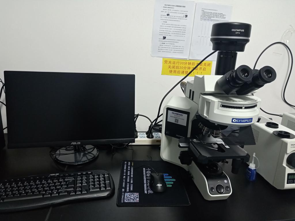 英国上市公司365