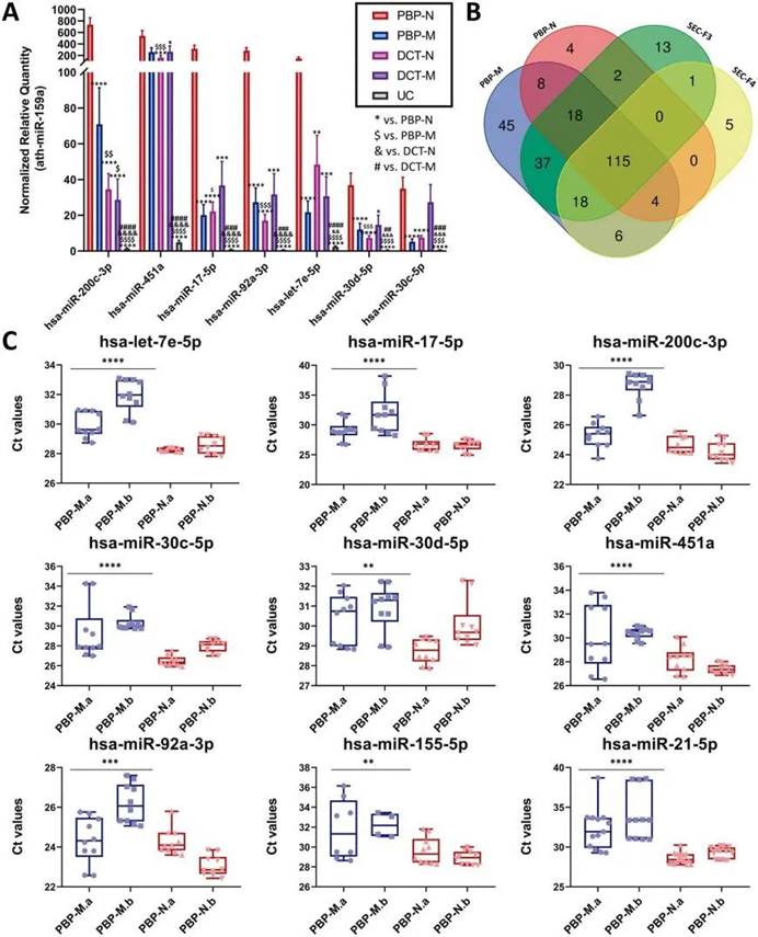 英国上市公司365