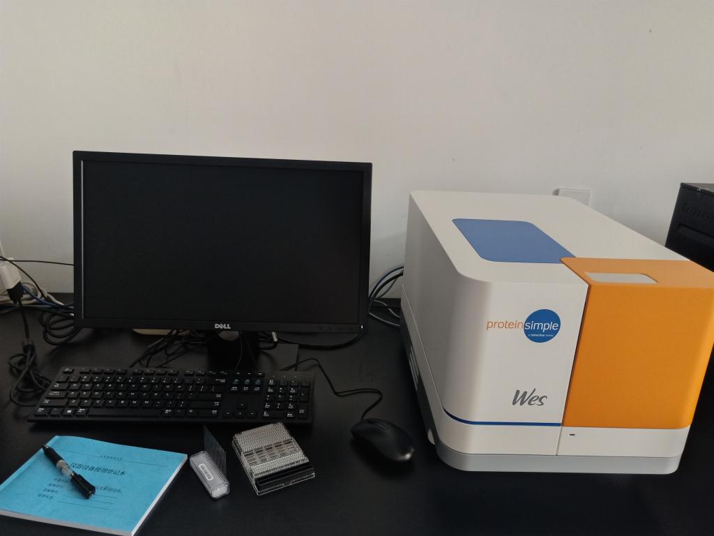 英国上市公司365