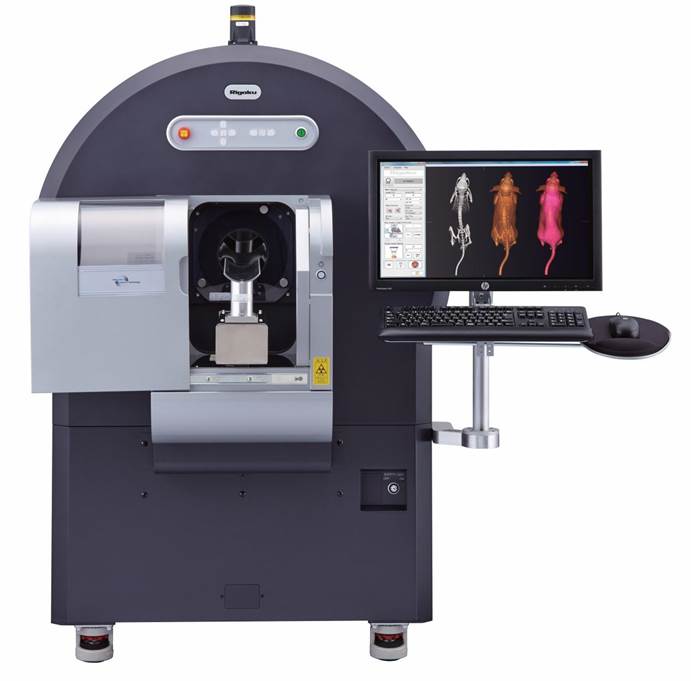 英国上市公司365