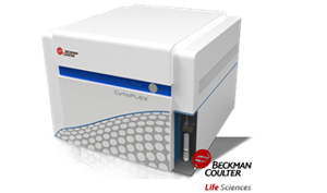 英国上市公司365