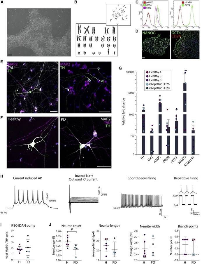 英国上市公司365