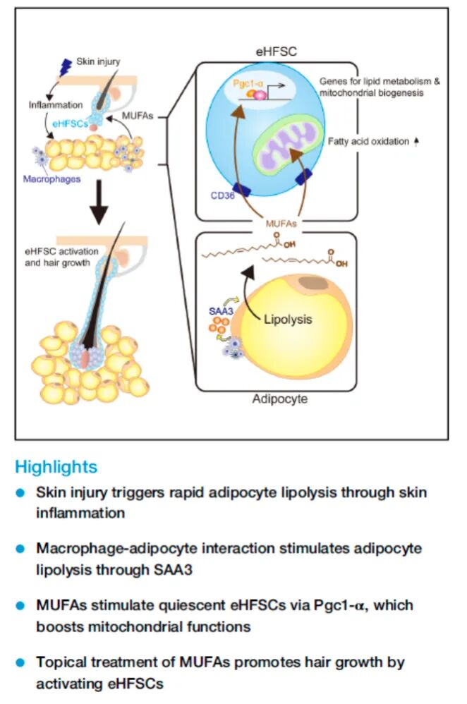 英国上市公司365