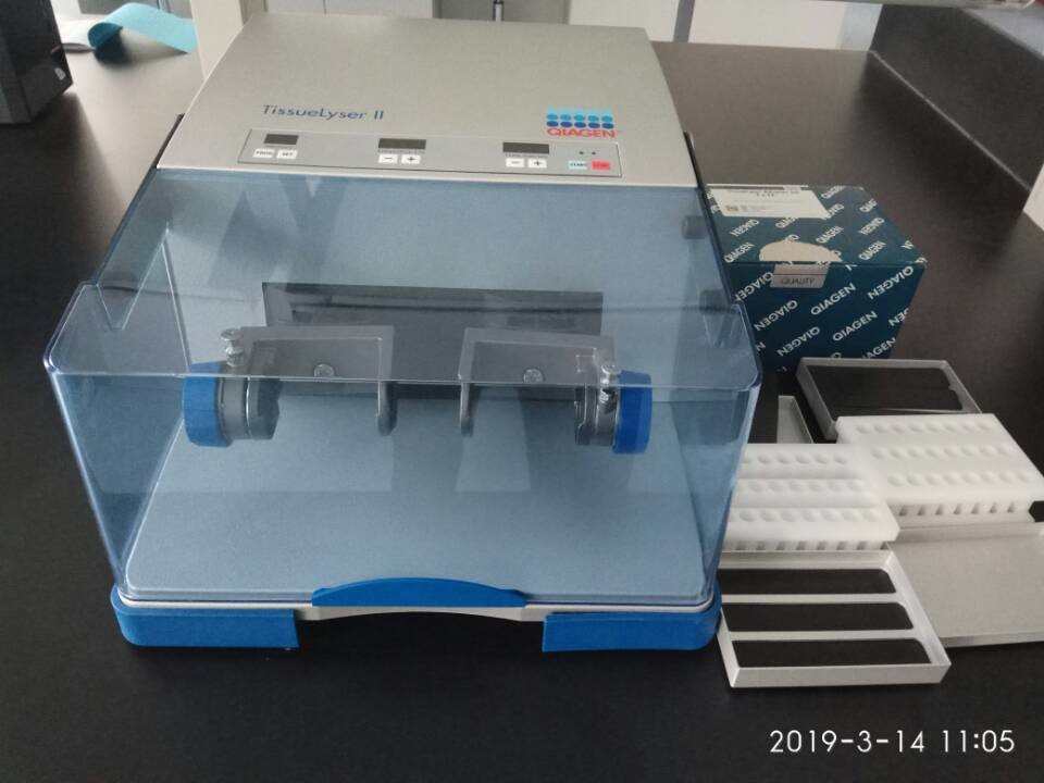 英国上市公司365