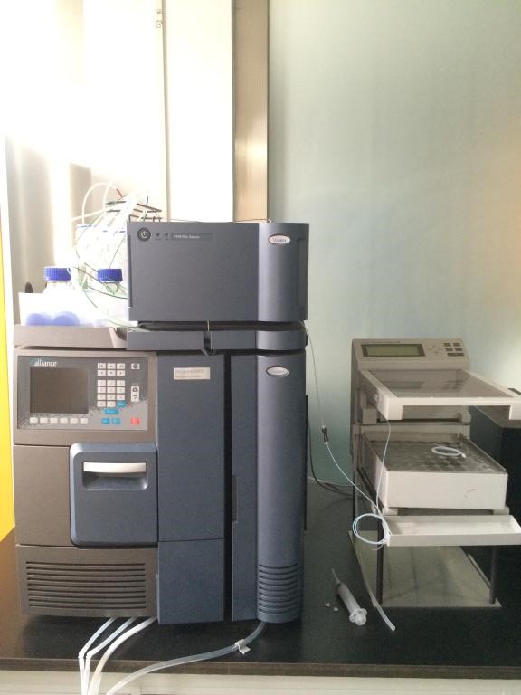 英国上市公司365